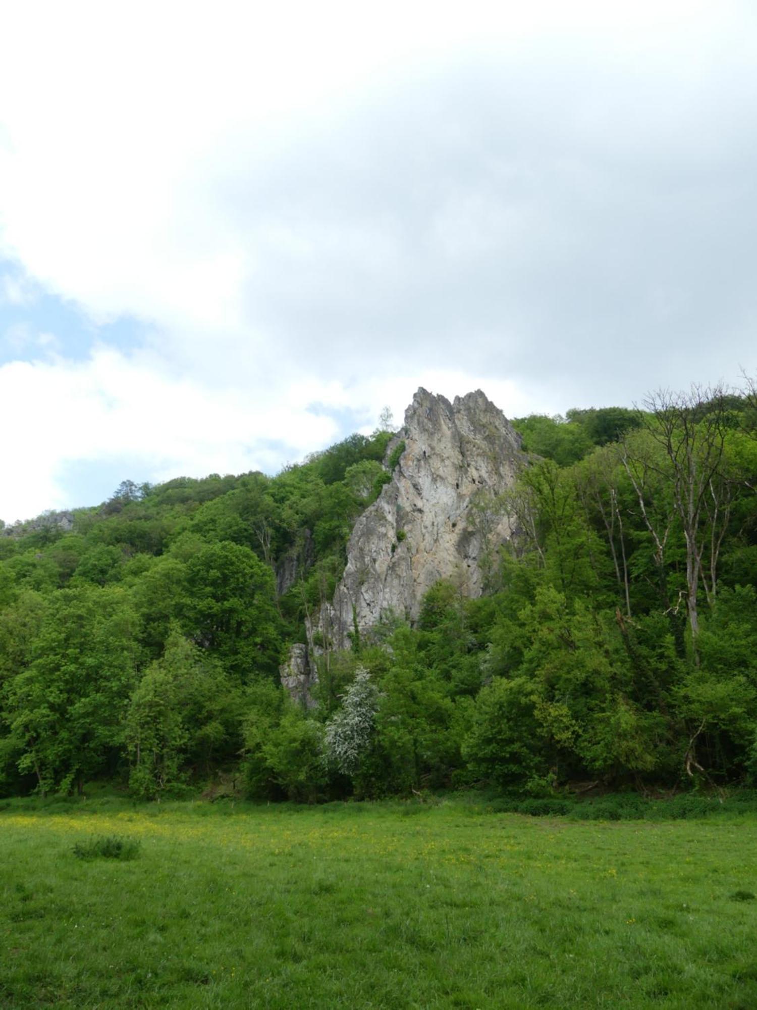 Au Bois Charmant Waulsort Esterno foto